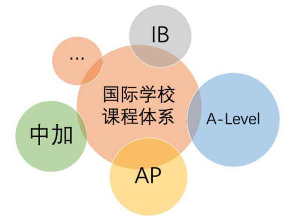 国际课程