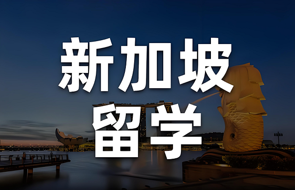 2025新加坡留学性价比如何?